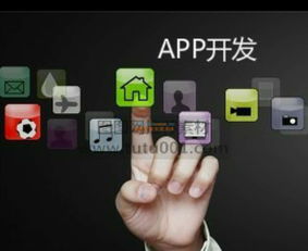 山東德州APP開(kāi)發(fā)與信息技術(shù)咨詢(xún)服務(wù)指南