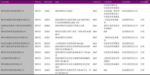 北湖區(qū)信息技術(shù)咨詢(xún)服務(wù)行業(yè)企業(yè)名錄（2018版）——140家企業(yè)全景掃描